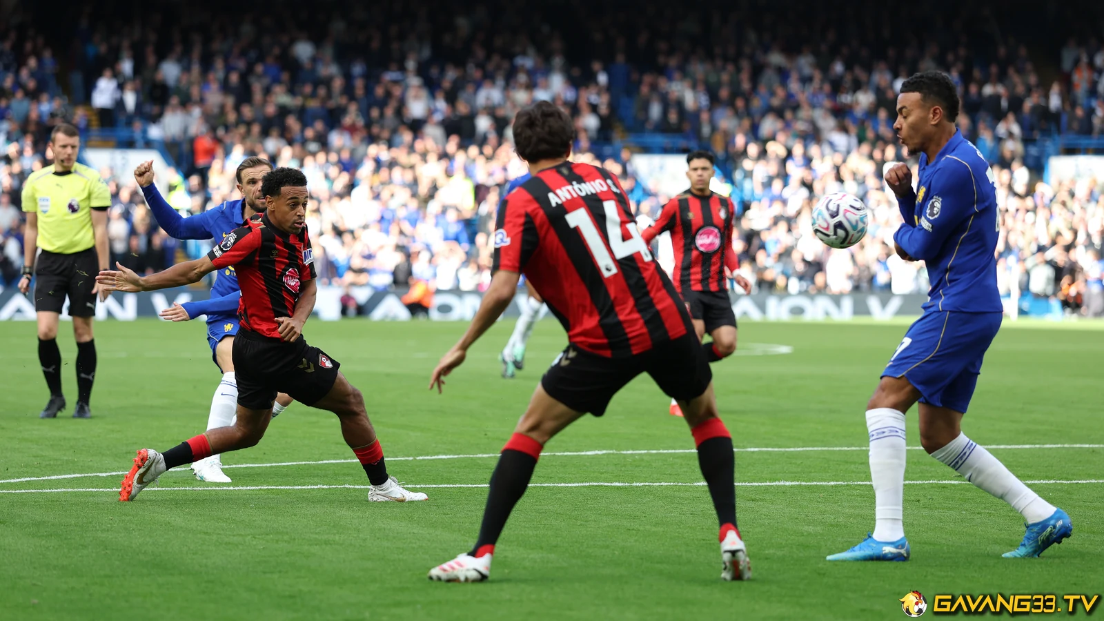Chelsea trước cuộc đối đầu Everton - Chelsea